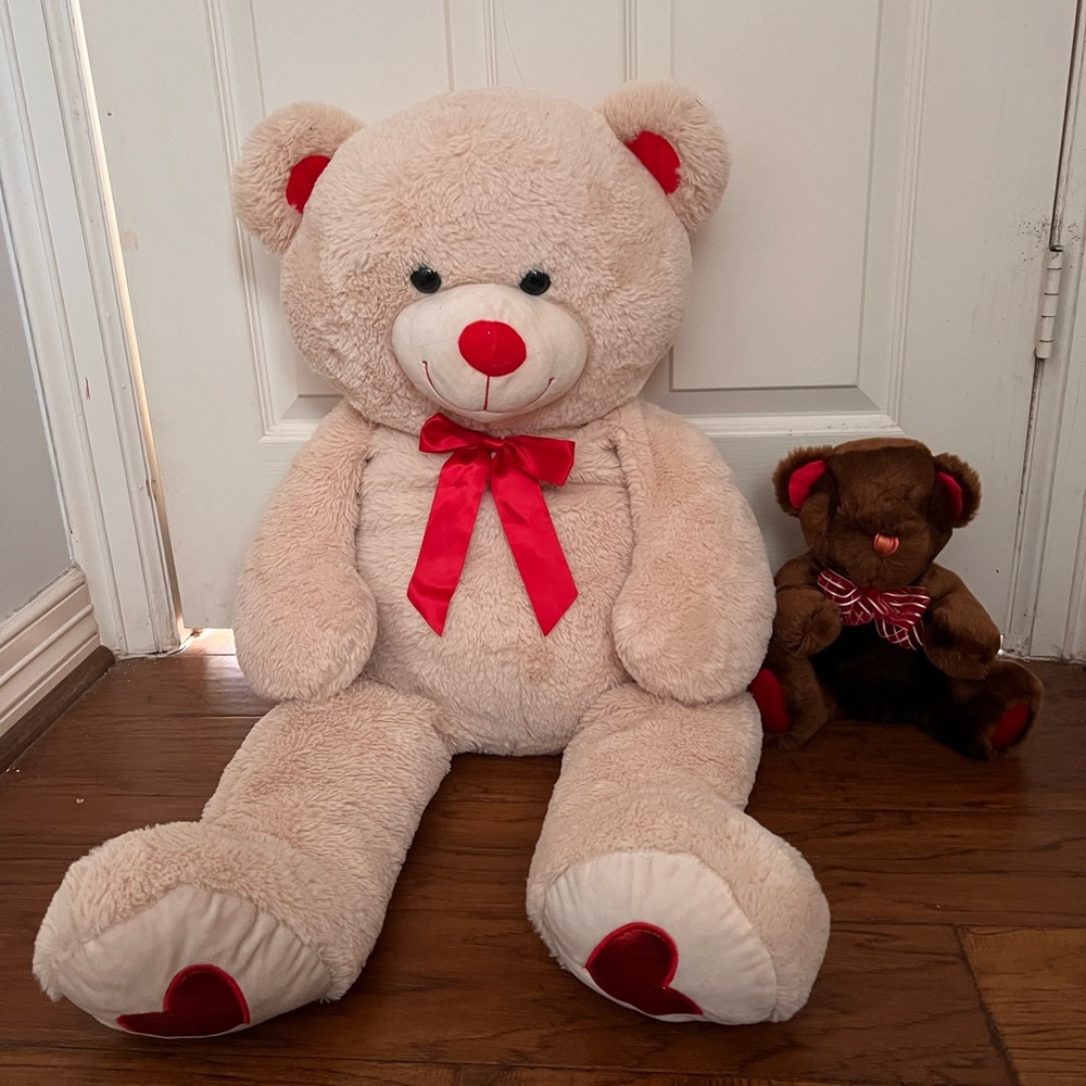 Big teddy bear (small one shown for regular teddy bear size)